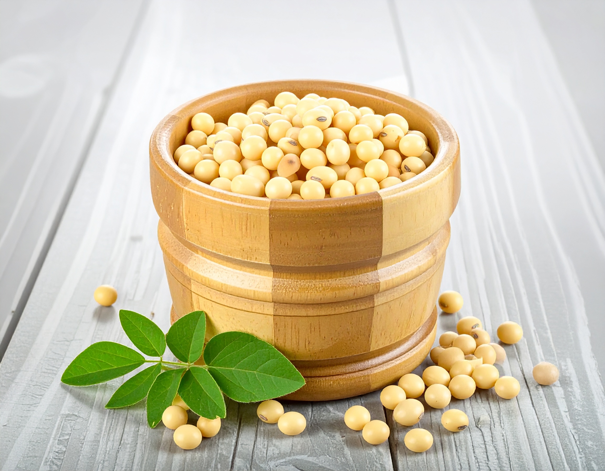 Agricultural Products